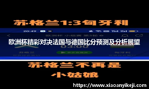 欧洲杯精彩对决法国与德国比分预测及分析展望